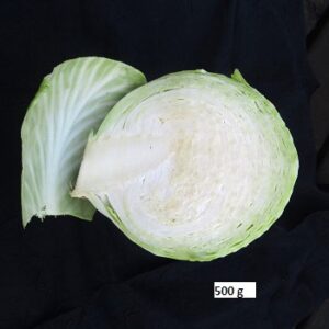 Choux blanc 500g