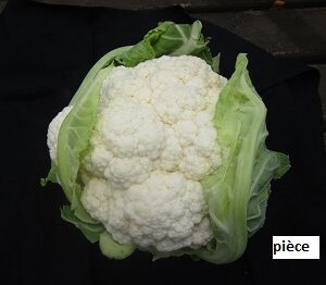Choux fleur pièce