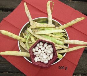 haricot coco à écosser 500gr