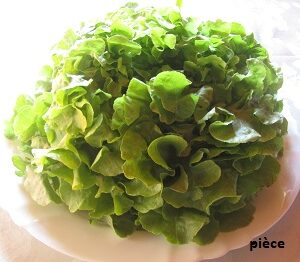 Feuille de chêne blonde