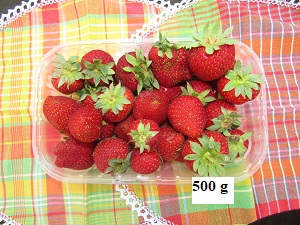 Fraises (cléry) barquettes 500gr
