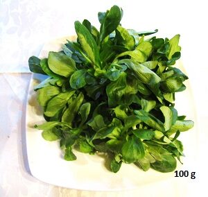 Salade Mâche 100g