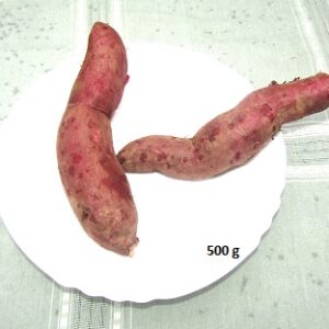 Patate douce chair violette 500g