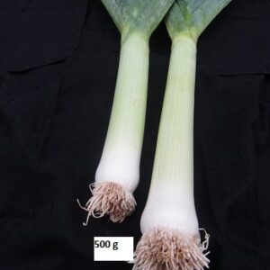 Poireaux  500g