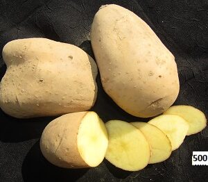 Pomme de terre Monalisa  500g