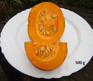 Potimarron  la pièce (900gr-1kg)