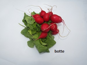 Radis cerise