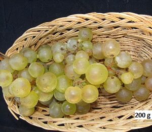 Raisin blanc chasselas 200gr