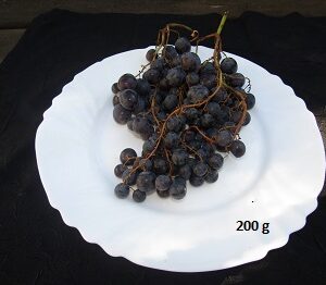 Raisin noir muscat 200gr