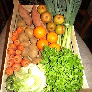 Panier fruits et légumes à 20€