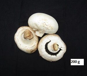 Champignon de Paris (gros calibre) 200g