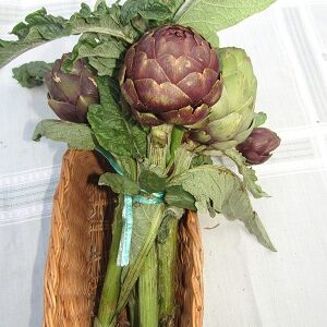 Artichaut Bouquet
