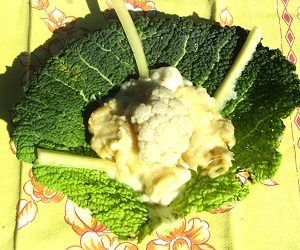 Duo chou-fleur – cèleri rave