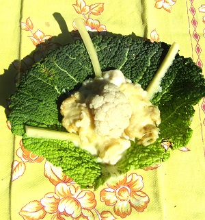 121 – duo chou-fleur – cèleri rave